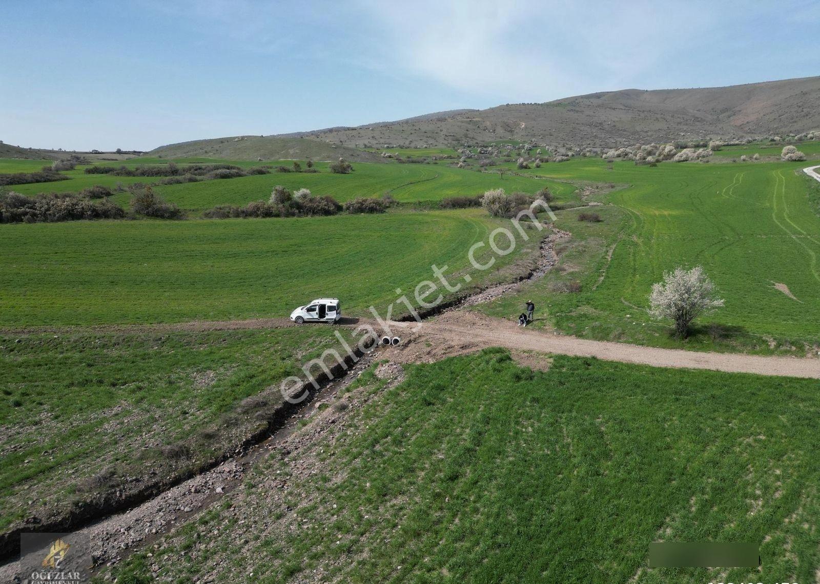 Oğuzlar'dan_ortabereket_dere Kenarı_tek Tapu_yolu Olan 15.386 M2 - Görsel 23