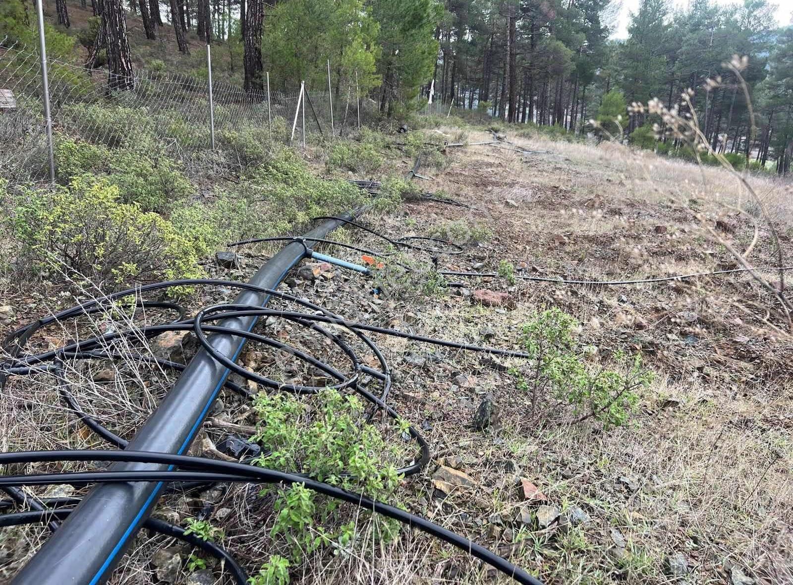 İsminar Gayrimenkulden Büyükorhan Da 29 Dönüm Satılık Tarla - Görsel 23