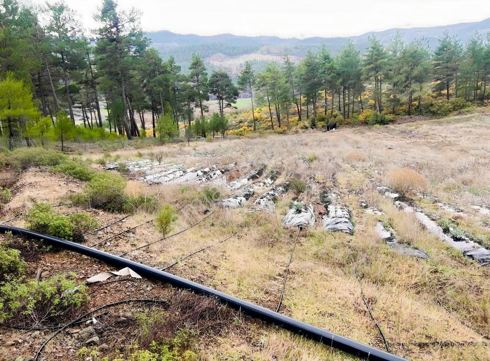 İsminar Gayrimenkulden Büyükorhan Da 29 Dönüm Satılık Tarla - Görsel 14