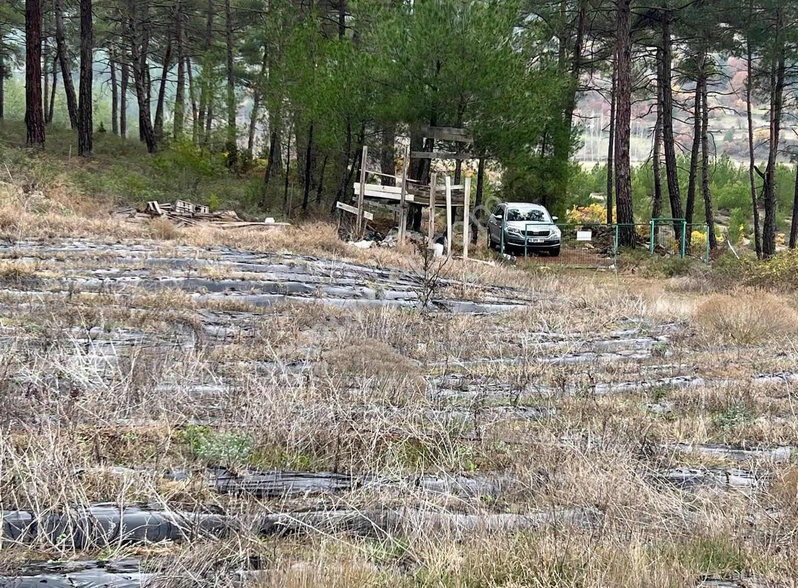 İsminar Gayrimenkulden Büyükorhan Da 29 Dönüm Satılık Tarla - Görsel 16