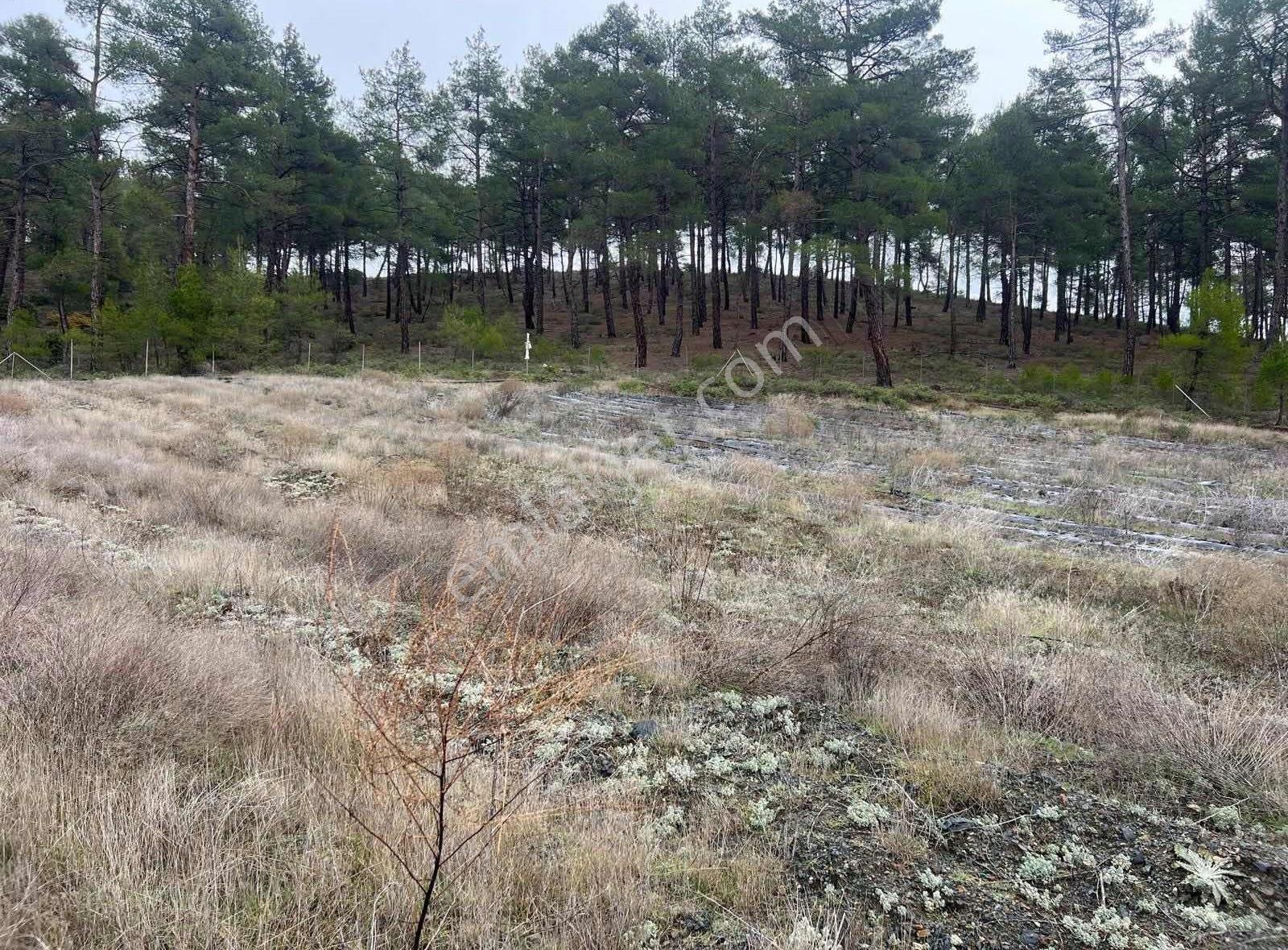 İsminar Gayrimenkulden Büyükorhan Da 29 Dönüm Satılık Tarla - Görsel 13