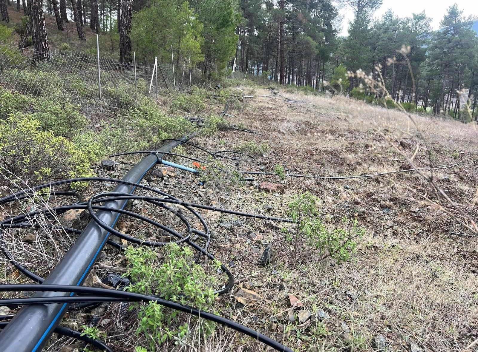 İsminar Gayrimenkulden Büyükorhan Da 29 Dönüm Satılık Tarla - Görsel 5