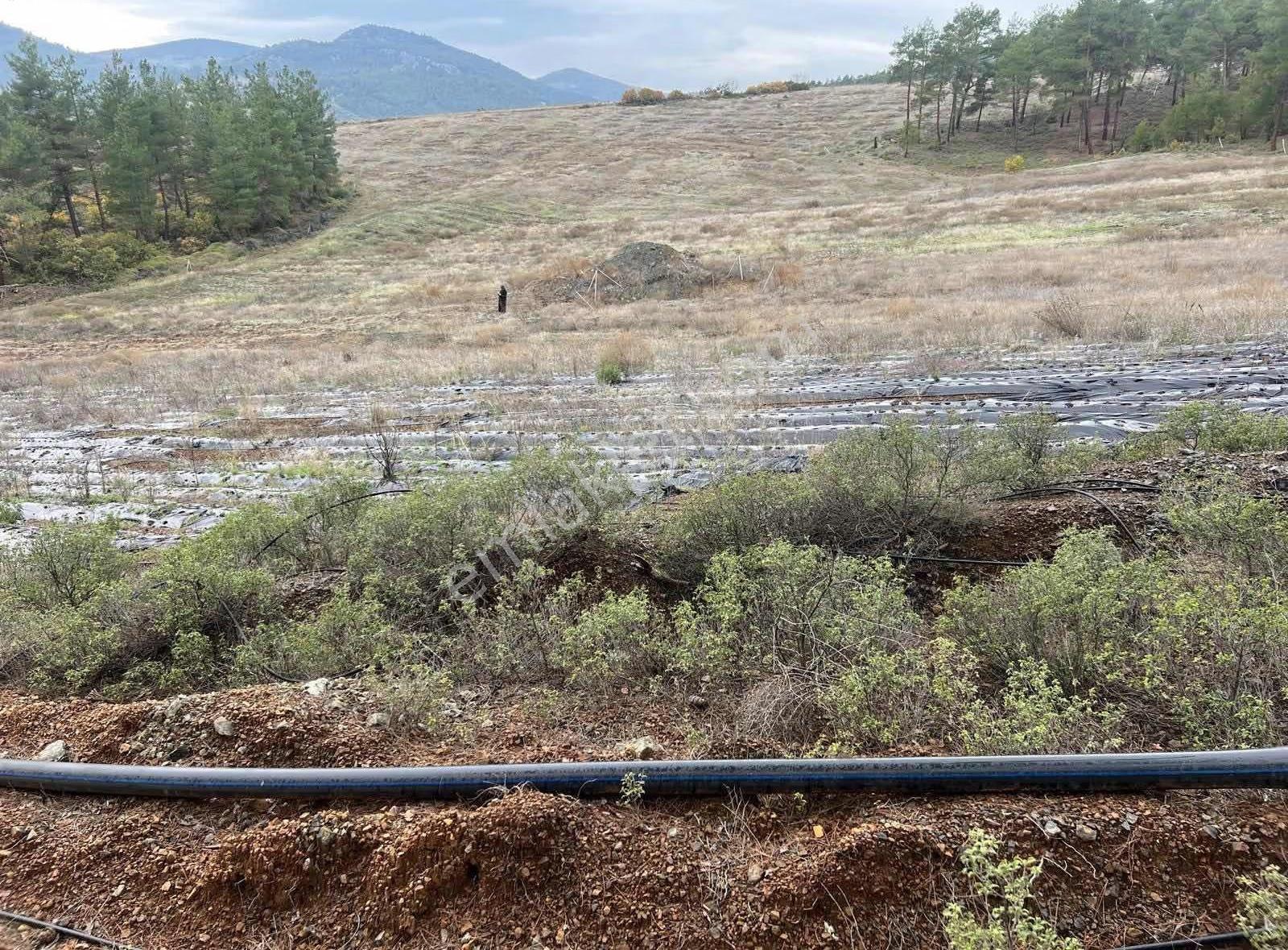İsminar Gayrimenkulden Büyükorhan Da 29 Dönüm Satılık Tarla - Görsel 21