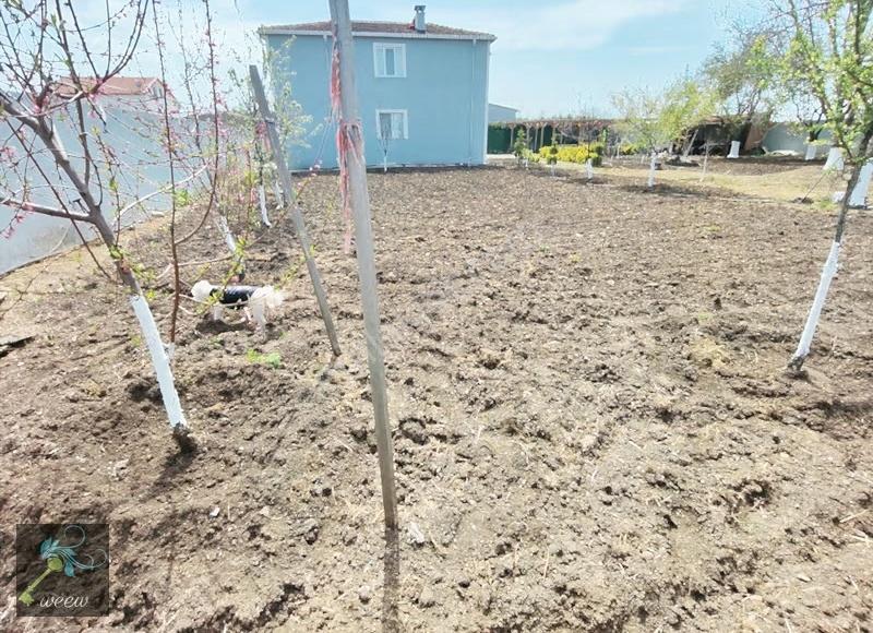 Lüleburgaz Karaağaçta 1.960 M² Arsa İçinde Havuzlu Lüks Dublex - Görsel 33