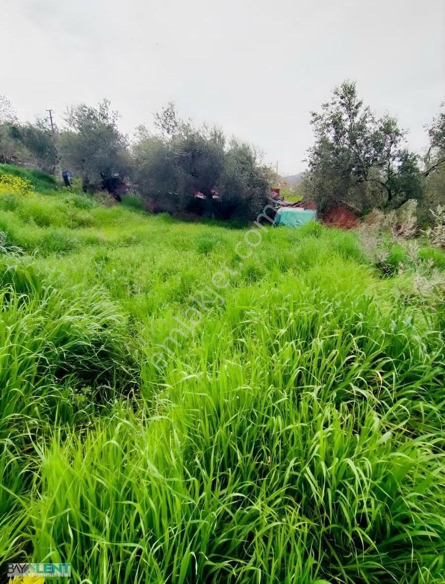 Savaştepe Sarıbeyler Kasabasında İmarlı Satılık Arsa - Görsel 19