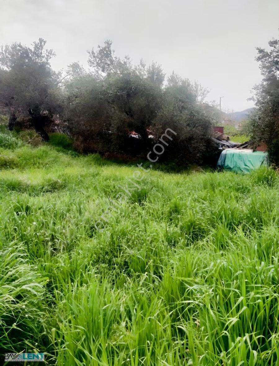 Savaştepe Sarıbeyler Kasabasında İmarlı Satılık Arsa - Görsel 20