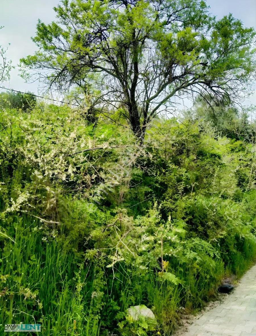 Savaştepe Sarıbeyler Kasabasında İmarlı Satılık Arsa - Görsel 22