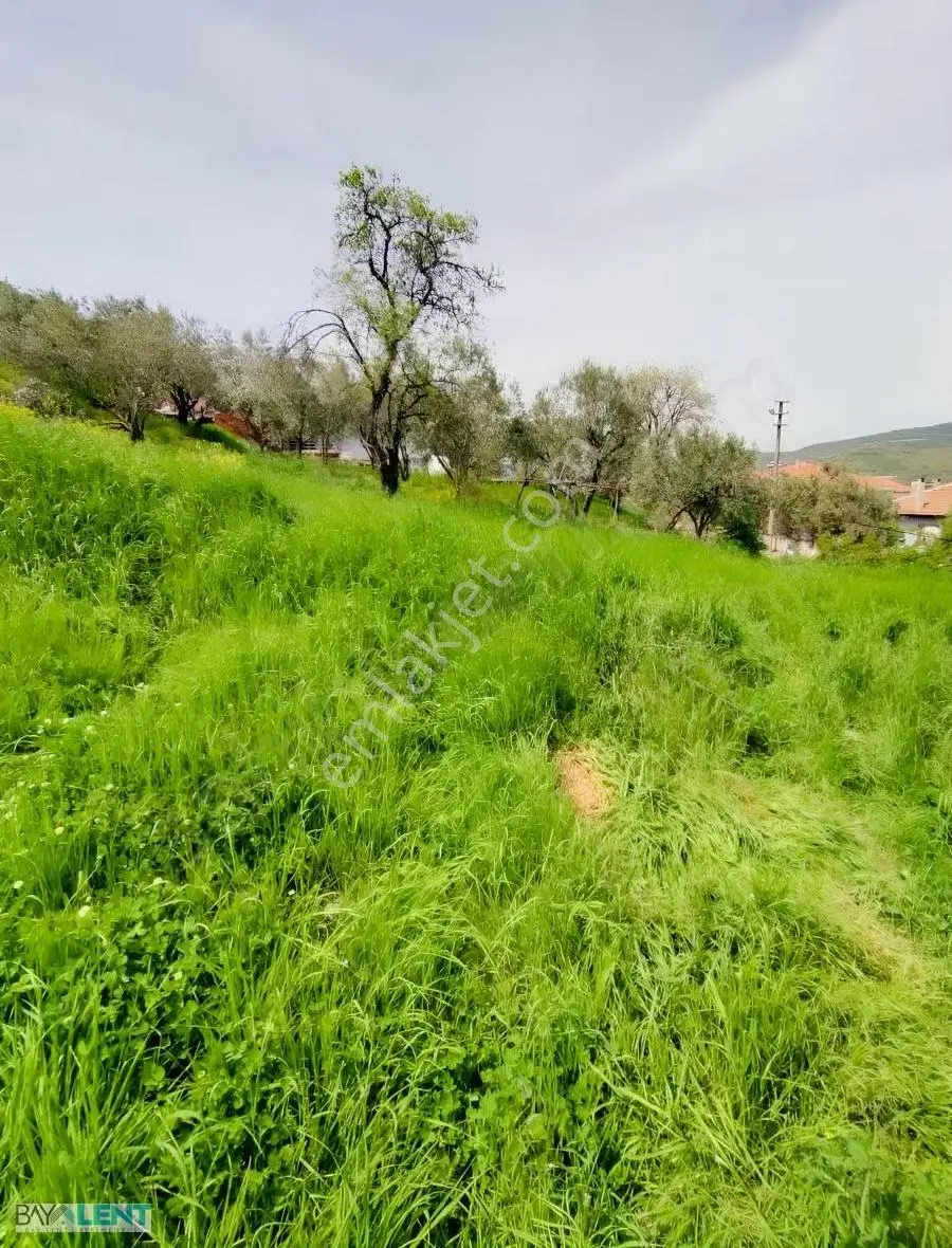 Savaştepe Sarıbeyler Kasabasında İmarlı Satılık Arsa - Görsel 2