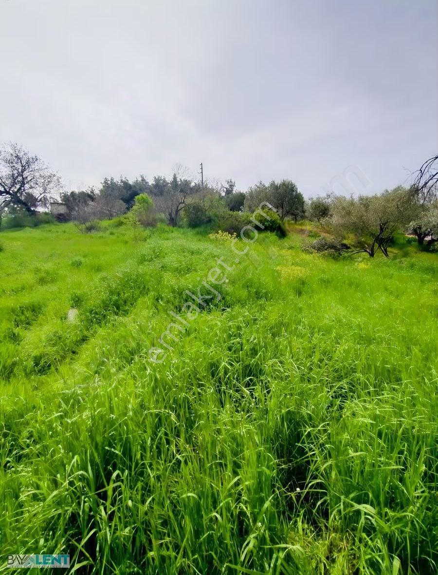 Savaştepe Sarıbeyler Kasabasında İmarlı Satılık Arsa - Görsel 5
