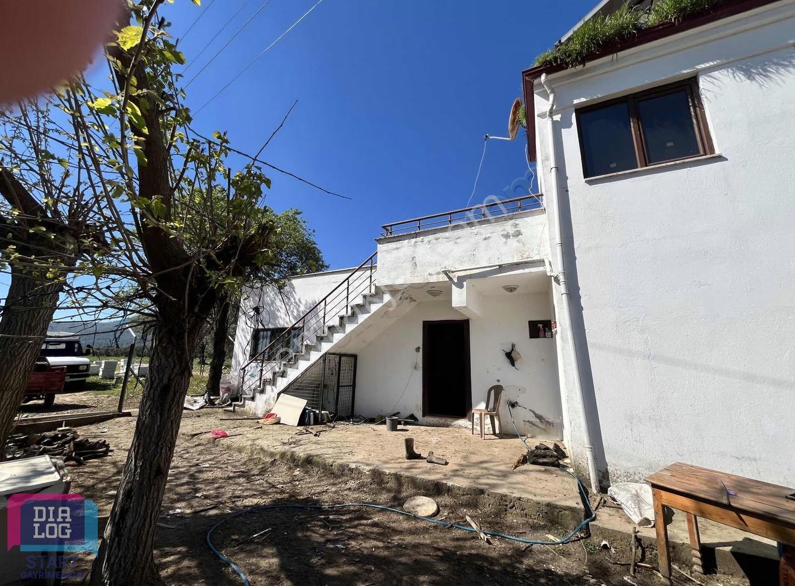 Fırsat!! Hem Ev Hem De Tarla 14 Dönüm Muğla Yatağan'da - Görsel 10