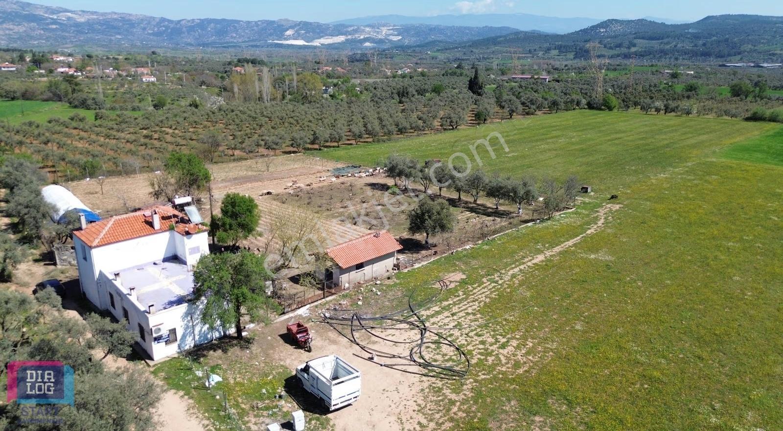 Fırsat!! Hem Ev Hem De Tarla 14 Dönüm Muğla Yatağan'da - Görsel 9