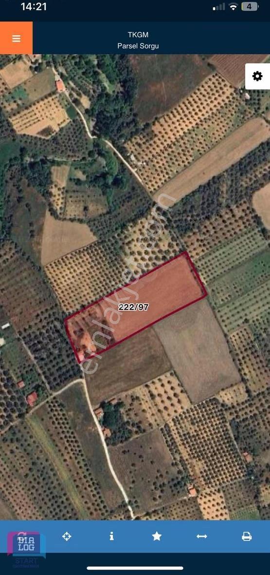 Fırsat!! Hem Ev Hem De Tarla 14 Dönüm Muğla Yatağan'da - Görsel 2