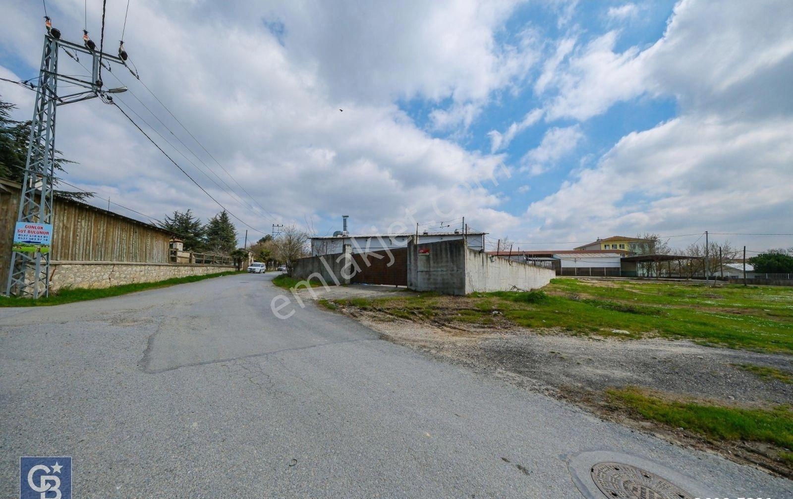 Tır Girişine Uygun 6.5 M Yüksek Depo | 800 M² Net - Görsel 2