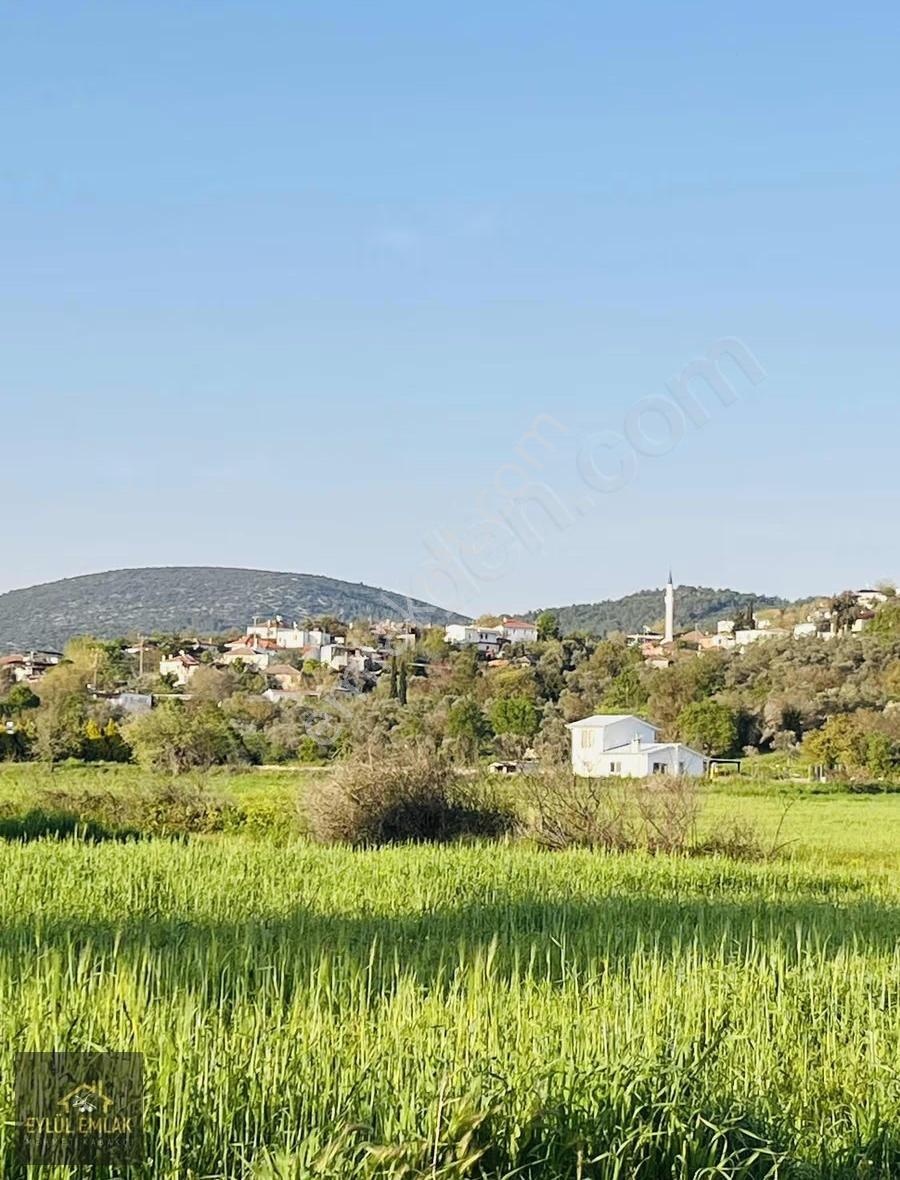 Milas Kuzyakada Satılık Tarla
