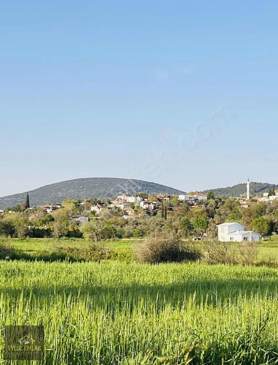 Milas Kuzyakada Satılık Tarla - Görsel 14