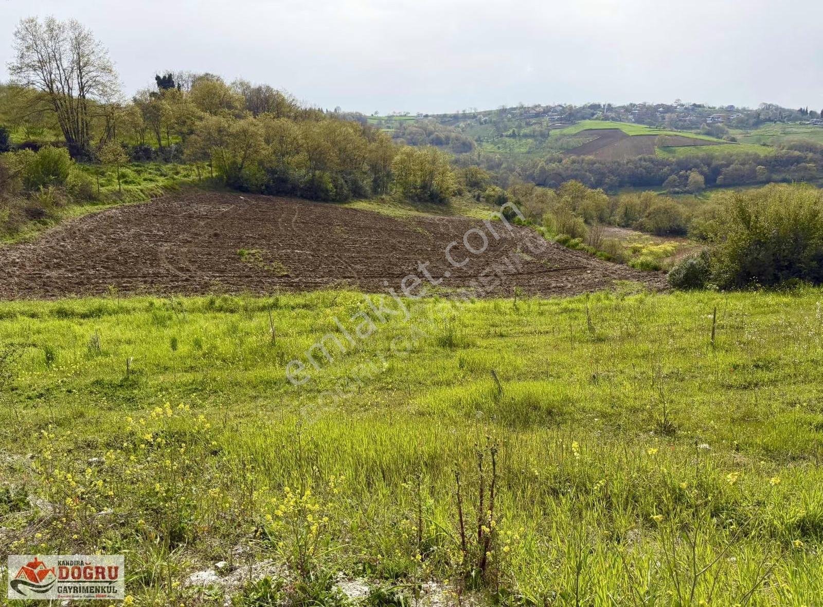 Sabırlı Köyünde 2240m2 İçerisinde Konteyner Bulunan Tarla - Görsel 31