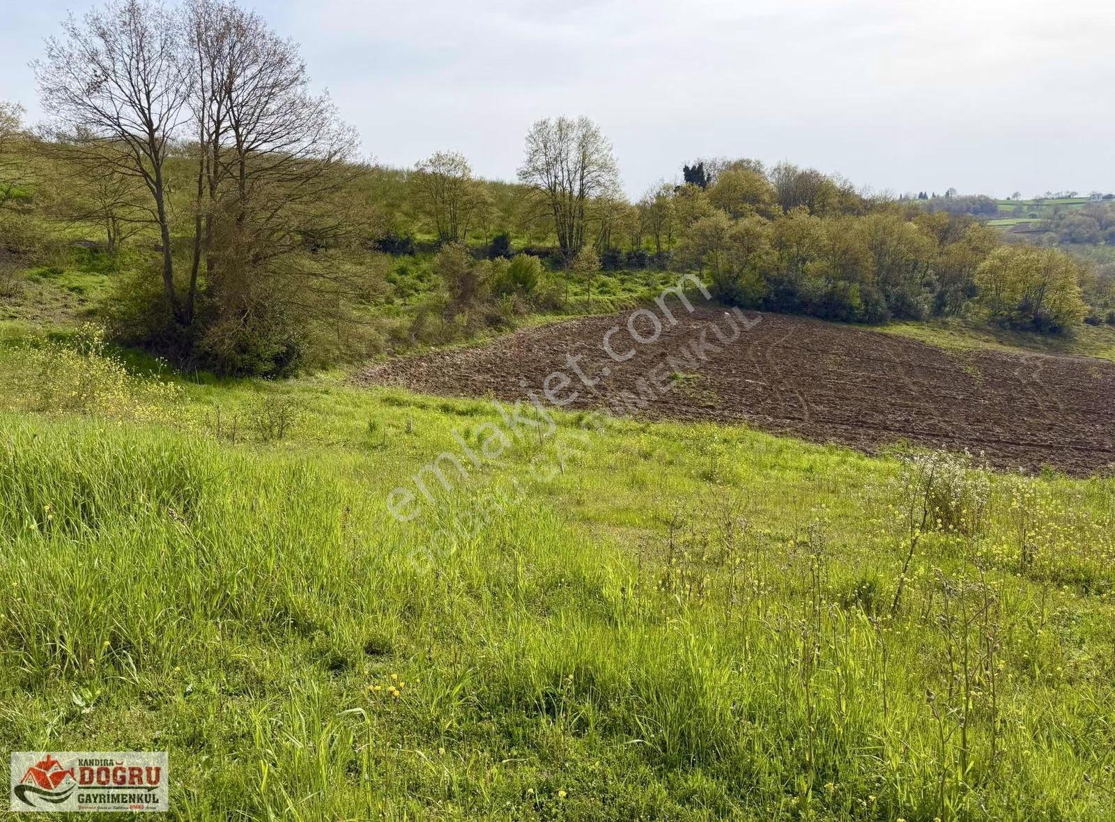 Sabırlı Köyünde 2240m2 İçerisinde Konteyner Bulunan Tarla - Görsel 26