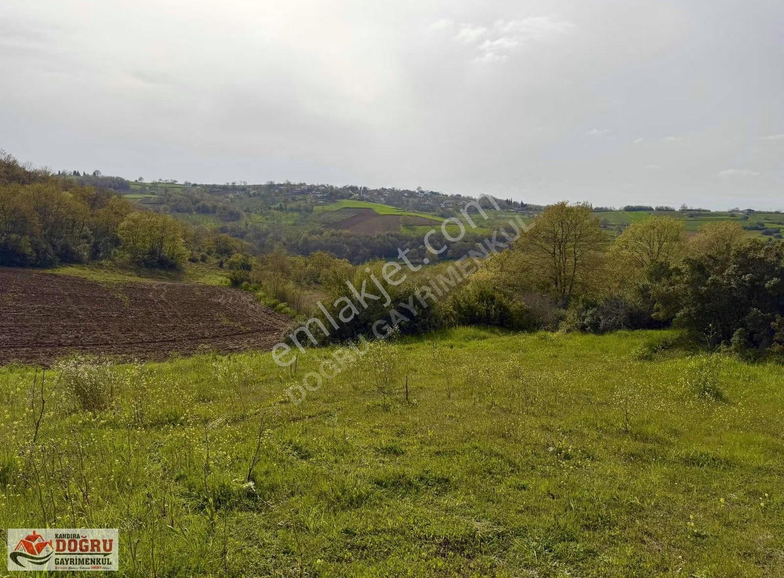 Sabırlı Köyünde 2240m2 İçerisinde Konteyner Bulunan Tarla - Görsel 16