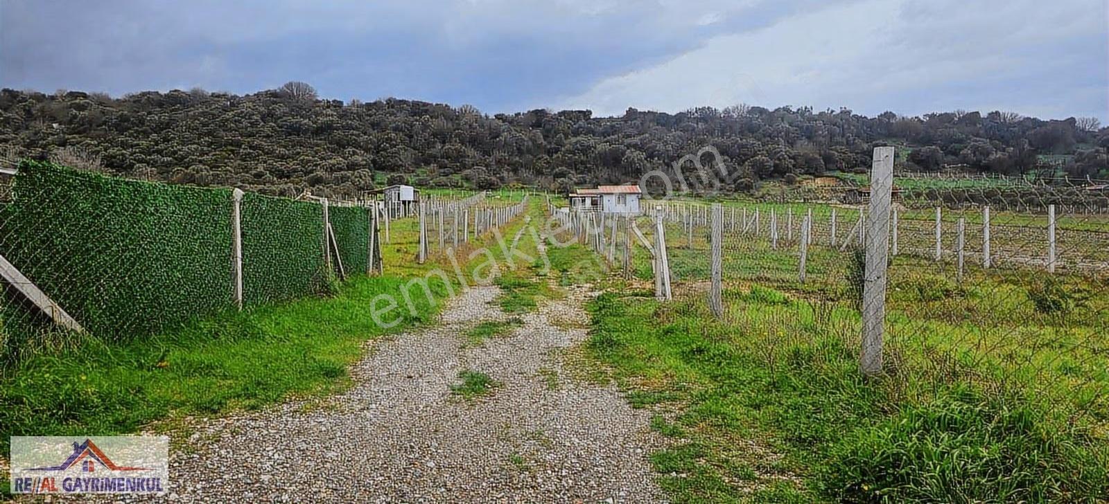 Real'den Değirmendere'de 240 M2 Satılık Bahçe - Görsel 2