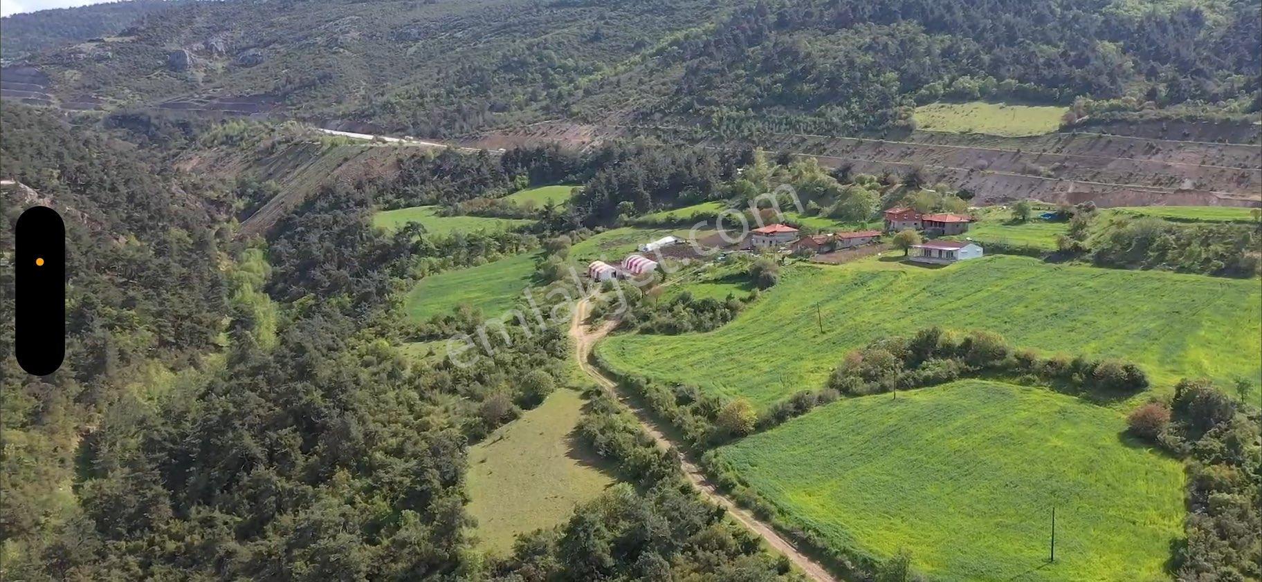 Kepsut Eyüpbükü’nde 5.384 M² Yola Yakın Satılık Tarla - Görsel 4