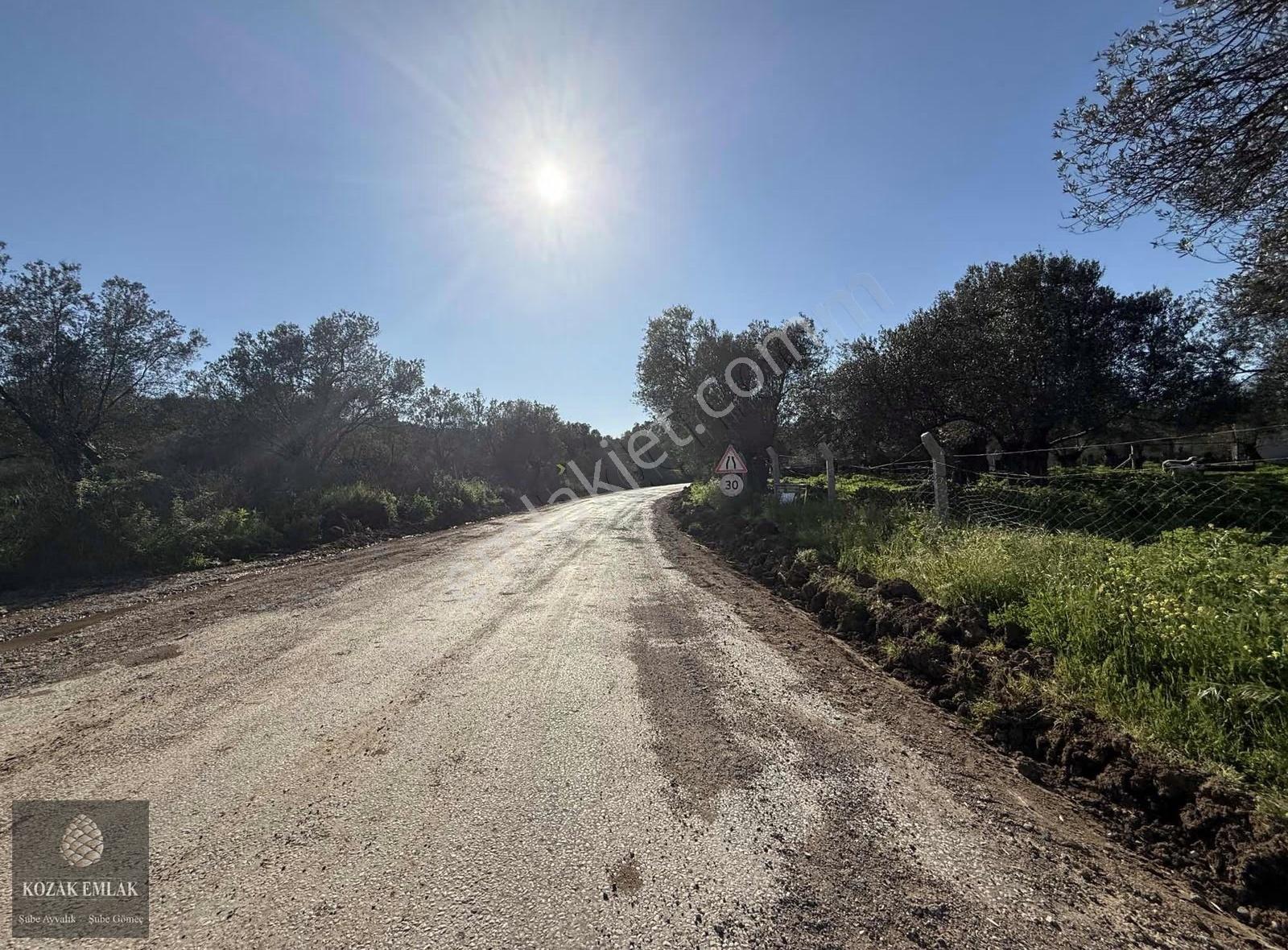 Ayvalık Otogarına 500metre Mesafede Satılık Zeytinlik - Görsel 17