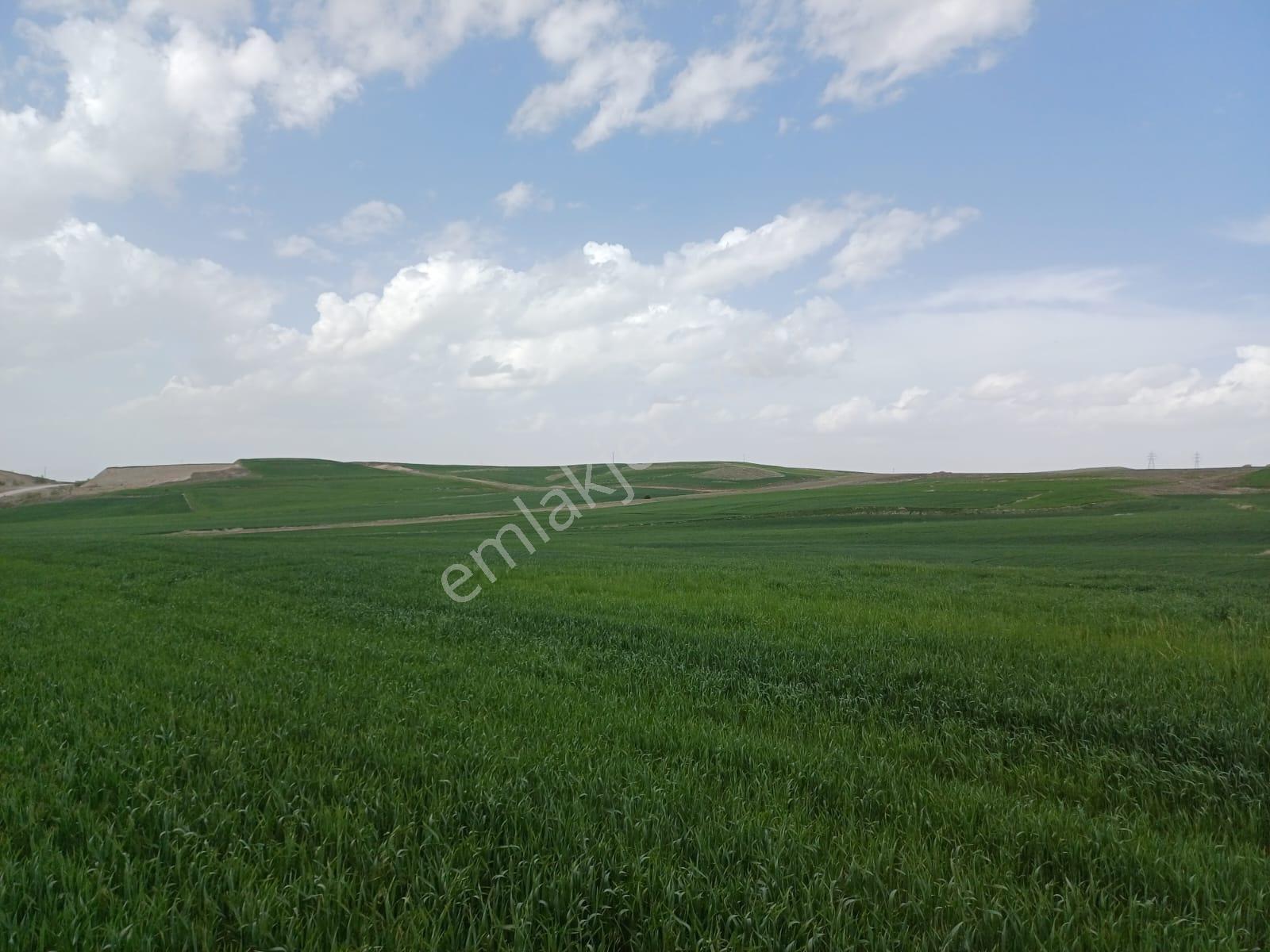 Gelişime Açık Sincan Yeni Peçenek Mahallesinde 50m2 Kupon Arsa - Görsel 7