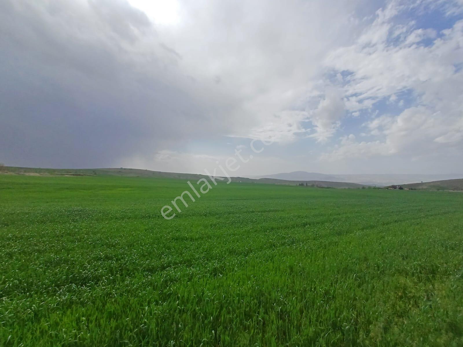 Gelişime Açık Sincan Yeni Peçenek Mahallesinde 50m2 Kupon Arsa - Görsel 15