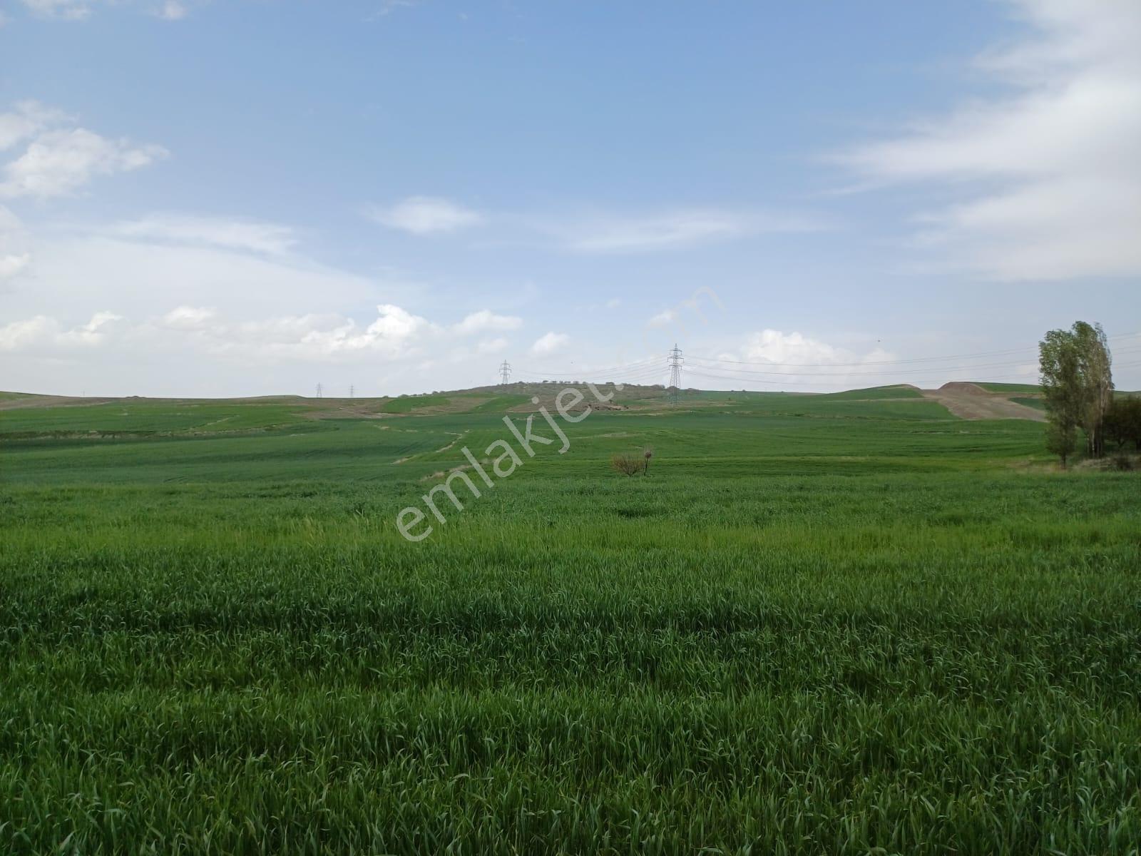 Gelişime Açık Sincan Yeni Peçenek Mahallesinde 50m2 Kupon Arsa - Görsel 14