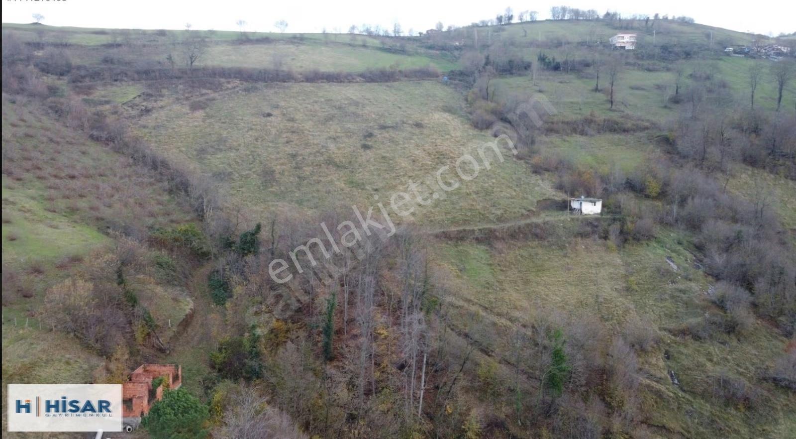 Hisar'dan Gültepe'de Bölgenin En Uygunu Tarla Ve Ceviz Bahçesi.. - Görsel 14