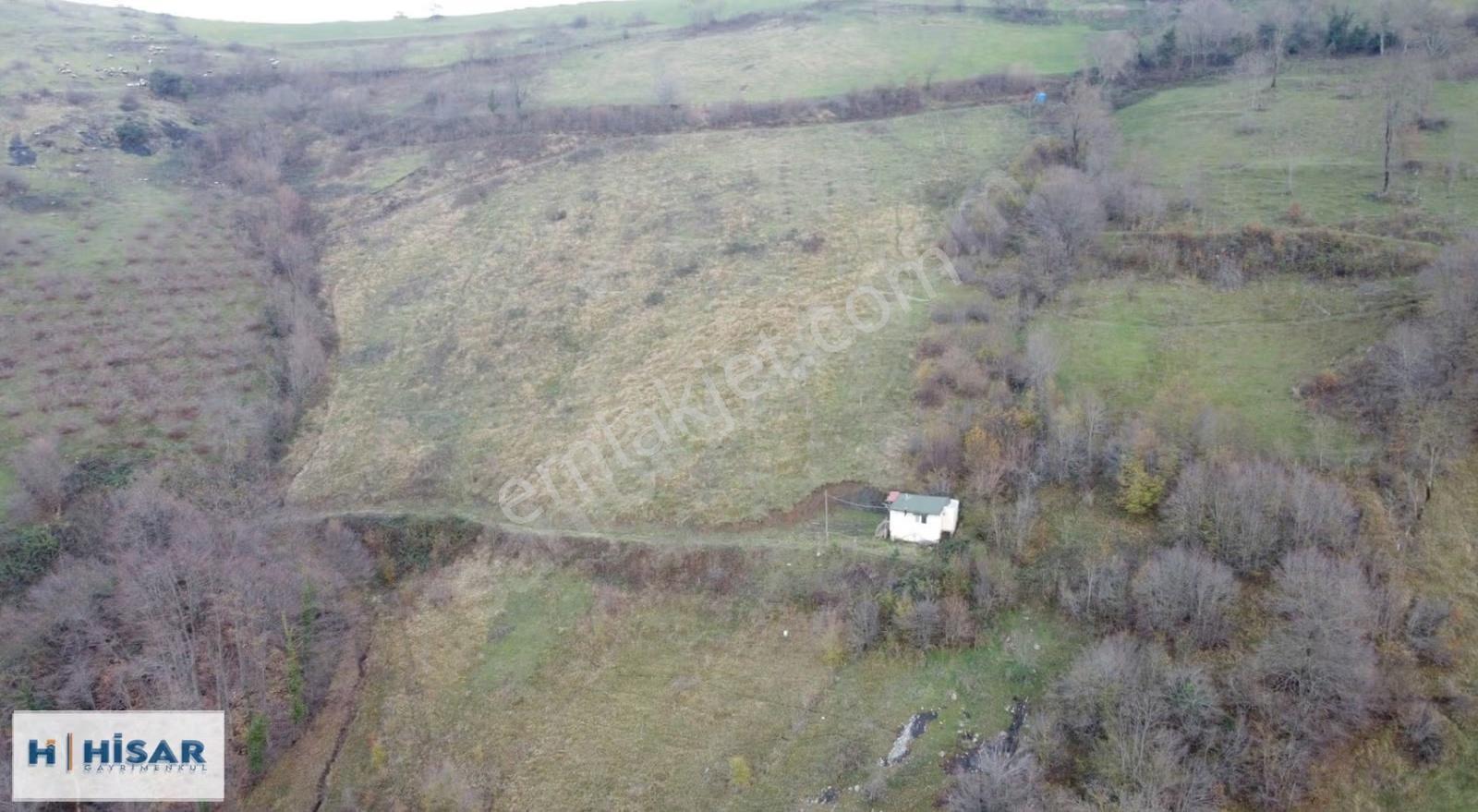 Hisar'dan Gültepe'de Bölgenin En Uygunu Tarla Ve Ceviz Bahçesi.. - Görsel 5