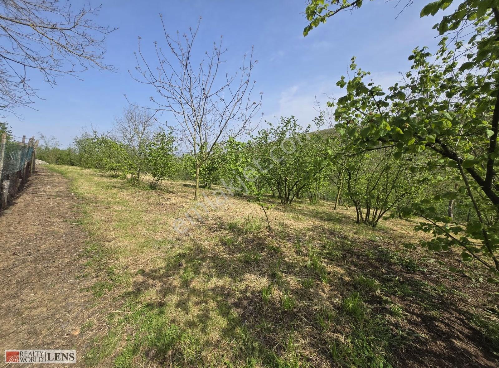 Serdivanda 4.660 M² Arsa İçinde Tam Donanımlı Malikane Fırsatı! - Görsel 5