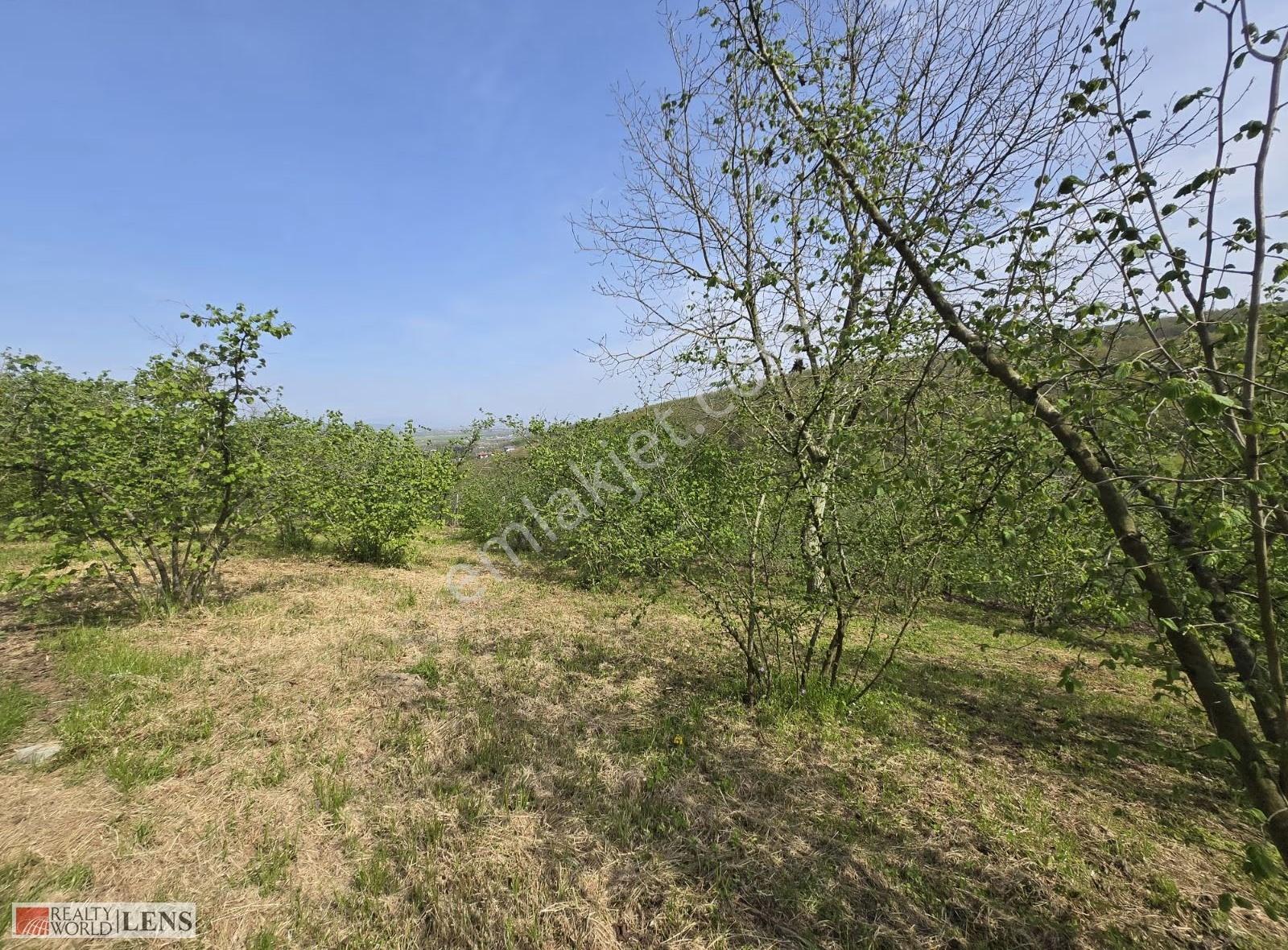 Serdivanda 4.660 M² Arsa İçinde Tam Donanımlı Malikane Fırsatı! - Görsel 24