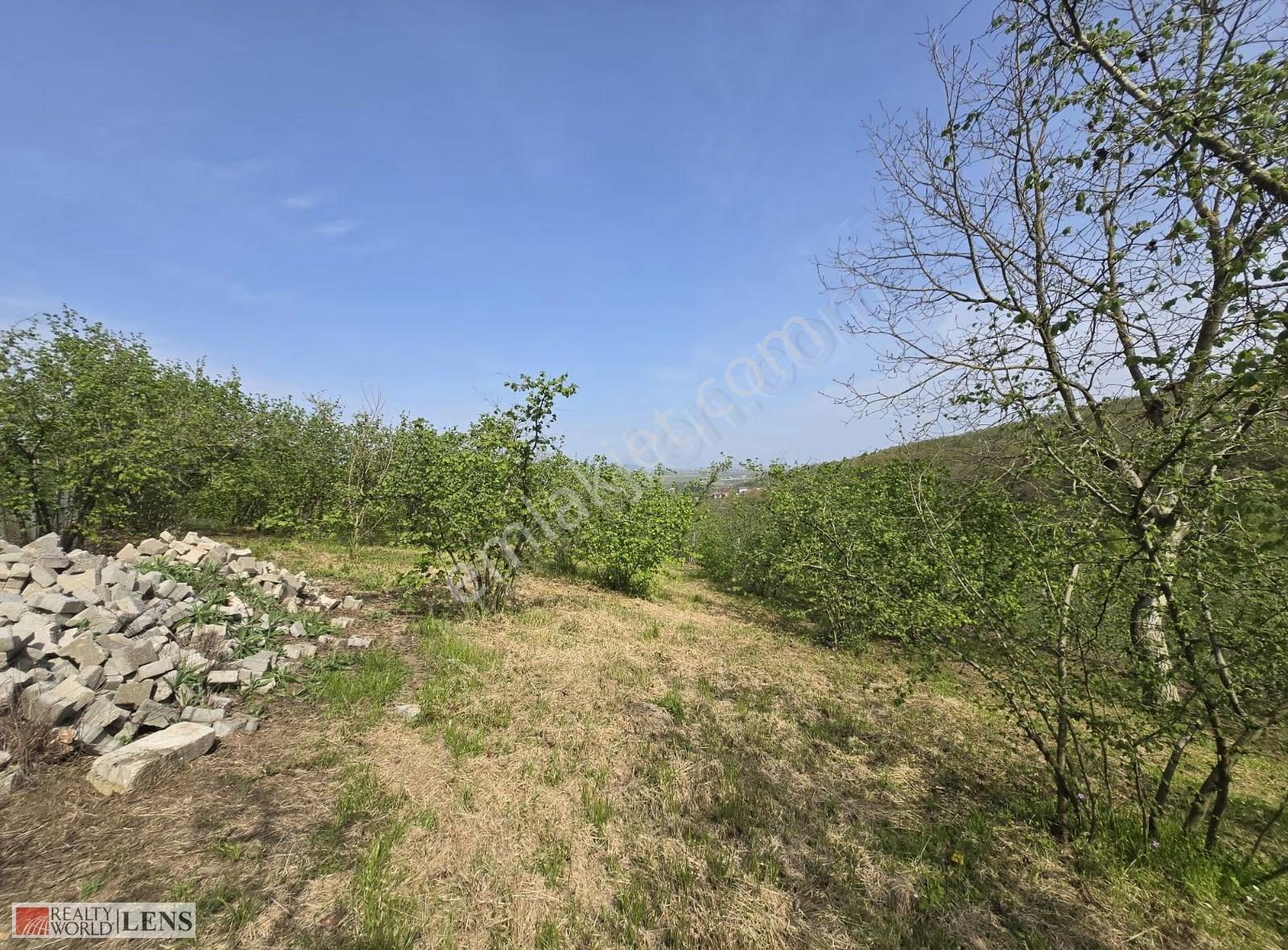 Serdivanda 4.660 M² Arsa İçinde Tam Donanımlı Malikane Fırsatı! - Görsel 14