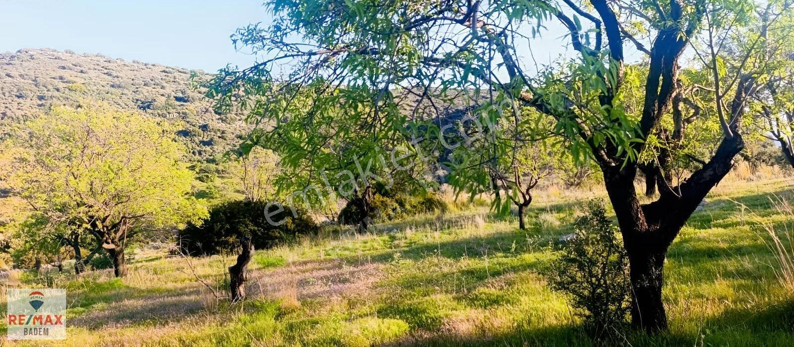 Datça Palamutbükü'nde Deniz Manzaralı Arazi 3306m² - Görsel 13