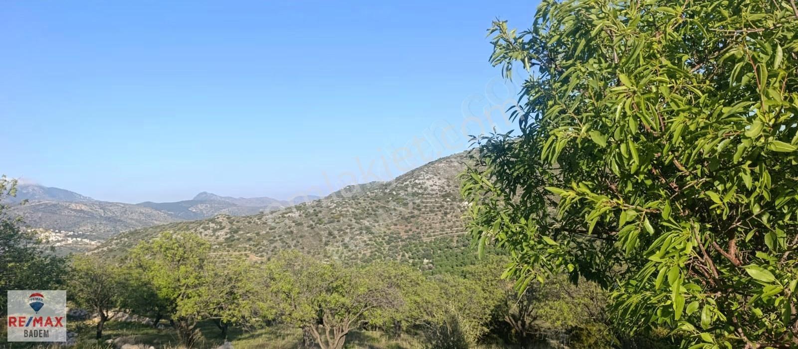 Datça Palamutbükü'nde Deniz Manzaralı Arazi 3306m² - Görsel 25
