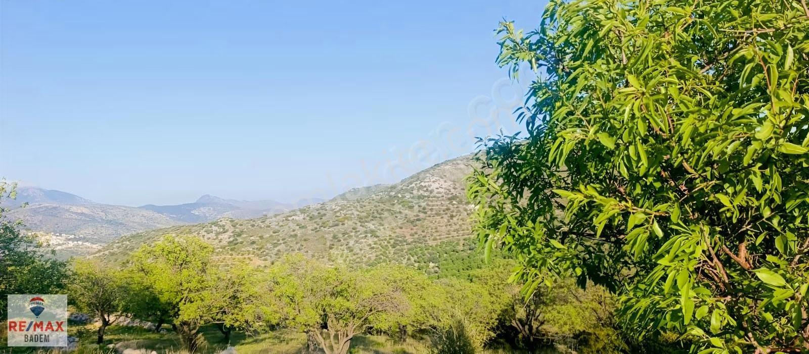 Datça Palamutbükü'nde Deniz Manzaralı Arazi 3306m² - Görsel 20