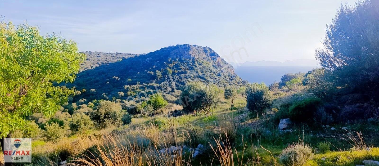 Datça Palamutbükü'nde Deniz Manzaralı Arazi 3306m²