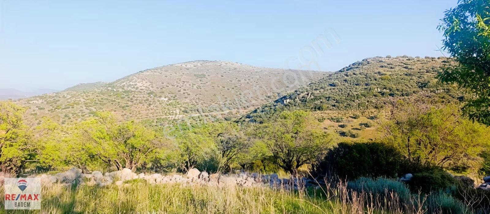 Datça Palamutbükü'nde Deniz Manzaralı Arazi 3306m² - Görsel 28