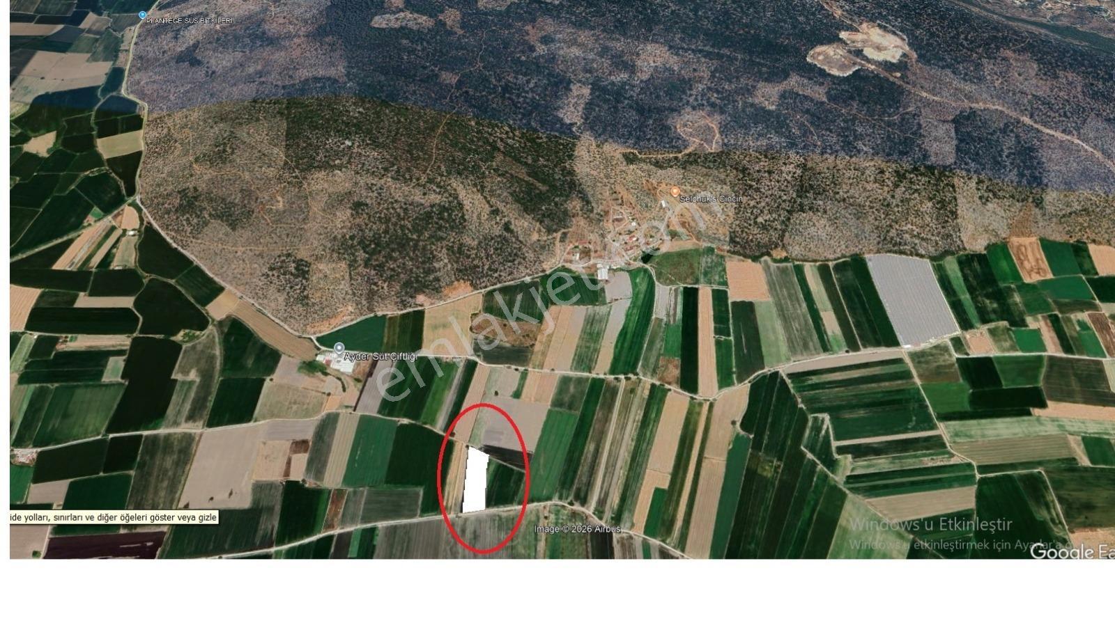 Milas Ovakışlacıkta Tek Tapu 7.932 M² Tarla | Yola Cepheli - Görsel 2