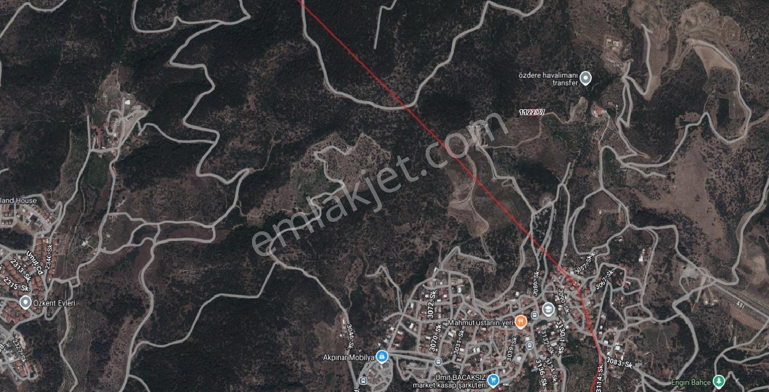 Tek Tapu, Deniz Manzaralı Zeytinlik