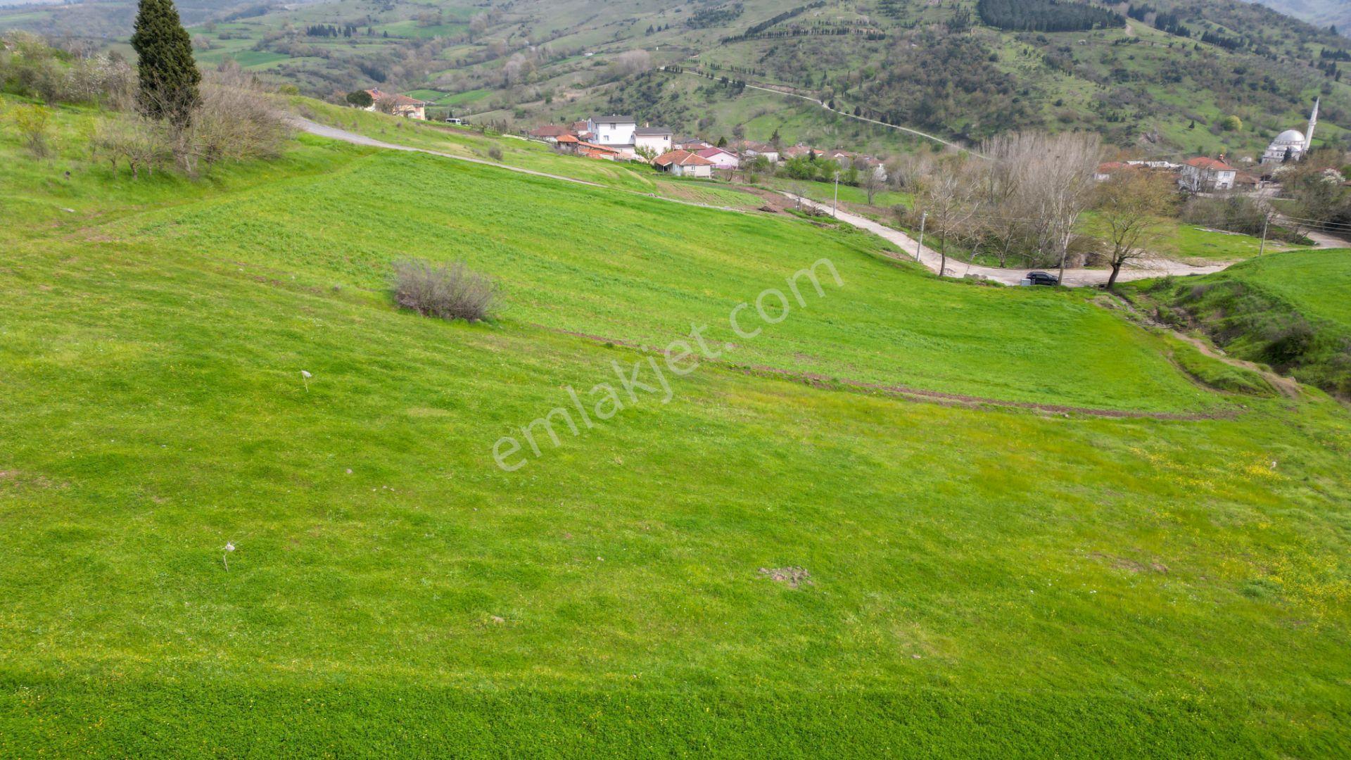 Karamürsel Kızderbent 588 M2 Konut İmarlı Satılık Arsa - Görsel 12