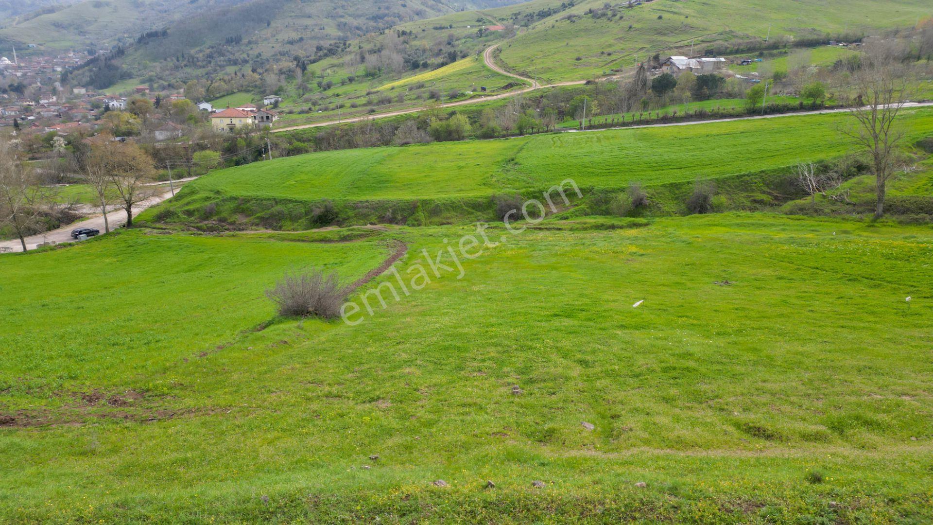 Karamürsel Kızderbent 588 M2 Konut İmarlı Satılık Arsa - Görsel 7