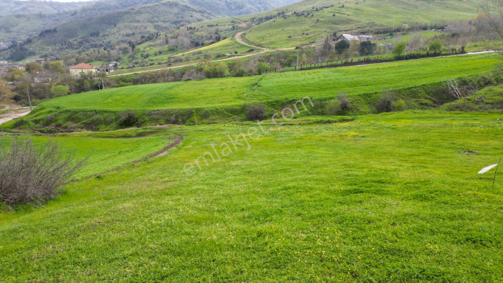 Karamürsel Kızderbent 588 M2 Konut İmarlı Satılık Arsa - Görsel 9