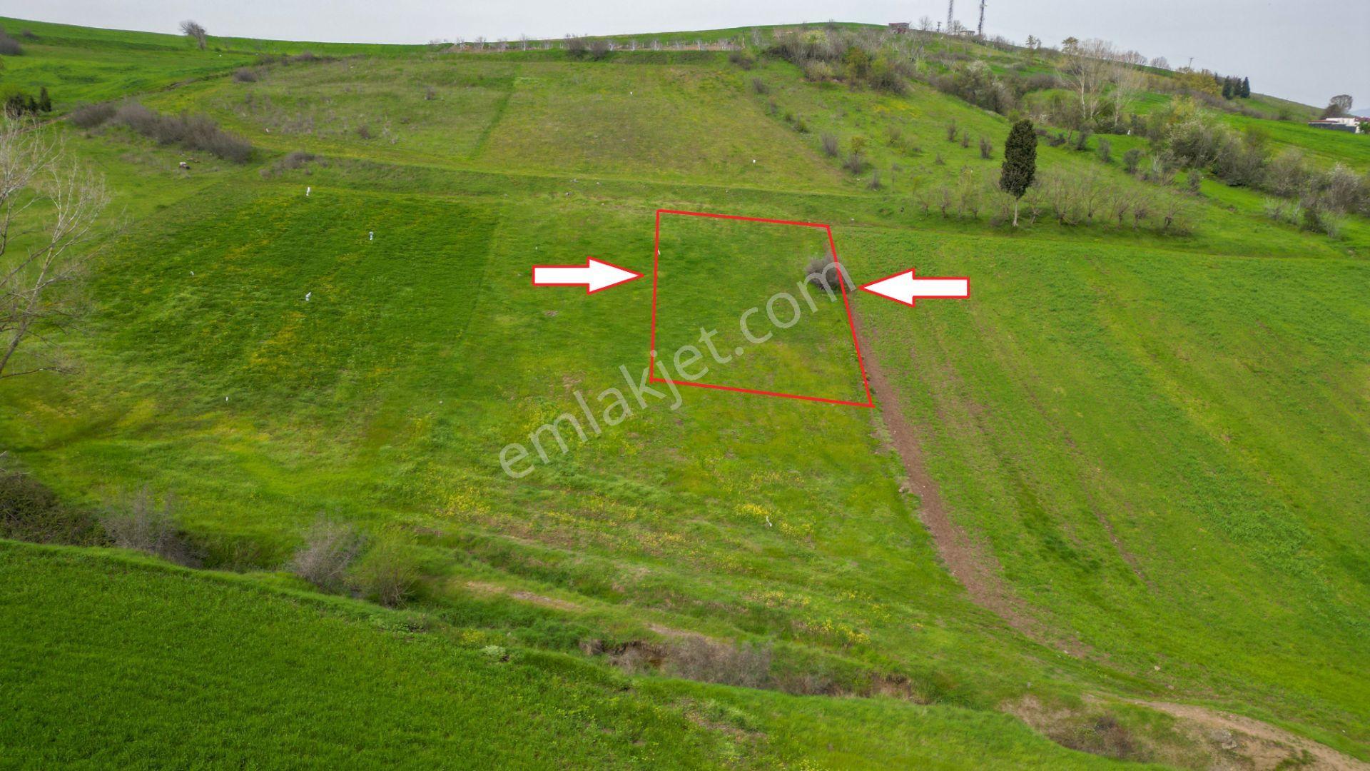 Karamürsel Kızderbent 588 M2 Konut İmarlı Satılık Arsa