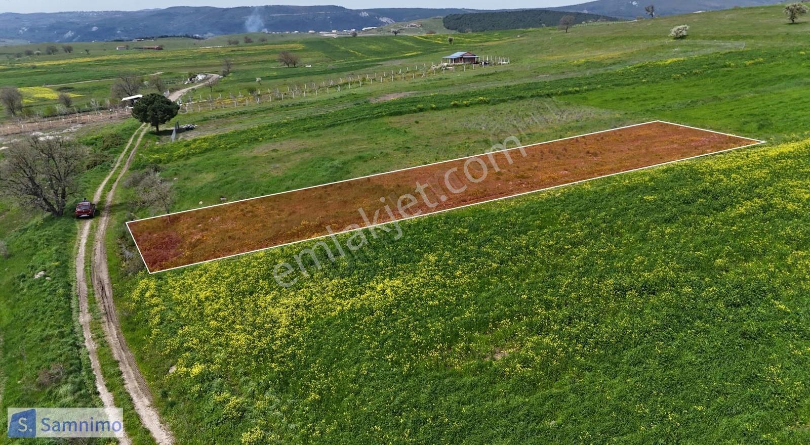 Kocaavşar Köyünde Körfez Yoluna Yakın Resmi Yolu Olan Tarla - Görsel 2