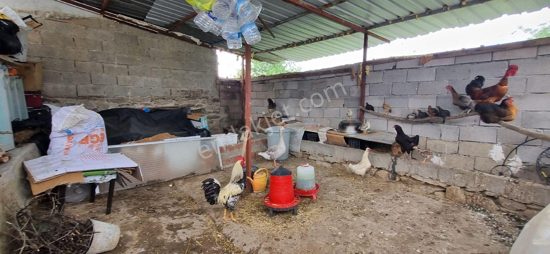Aydın Nazilli Yöntem Emlaktan Yenipazar Alhan Mahallesinde Satılık Müstakil Ev - Görsel 35