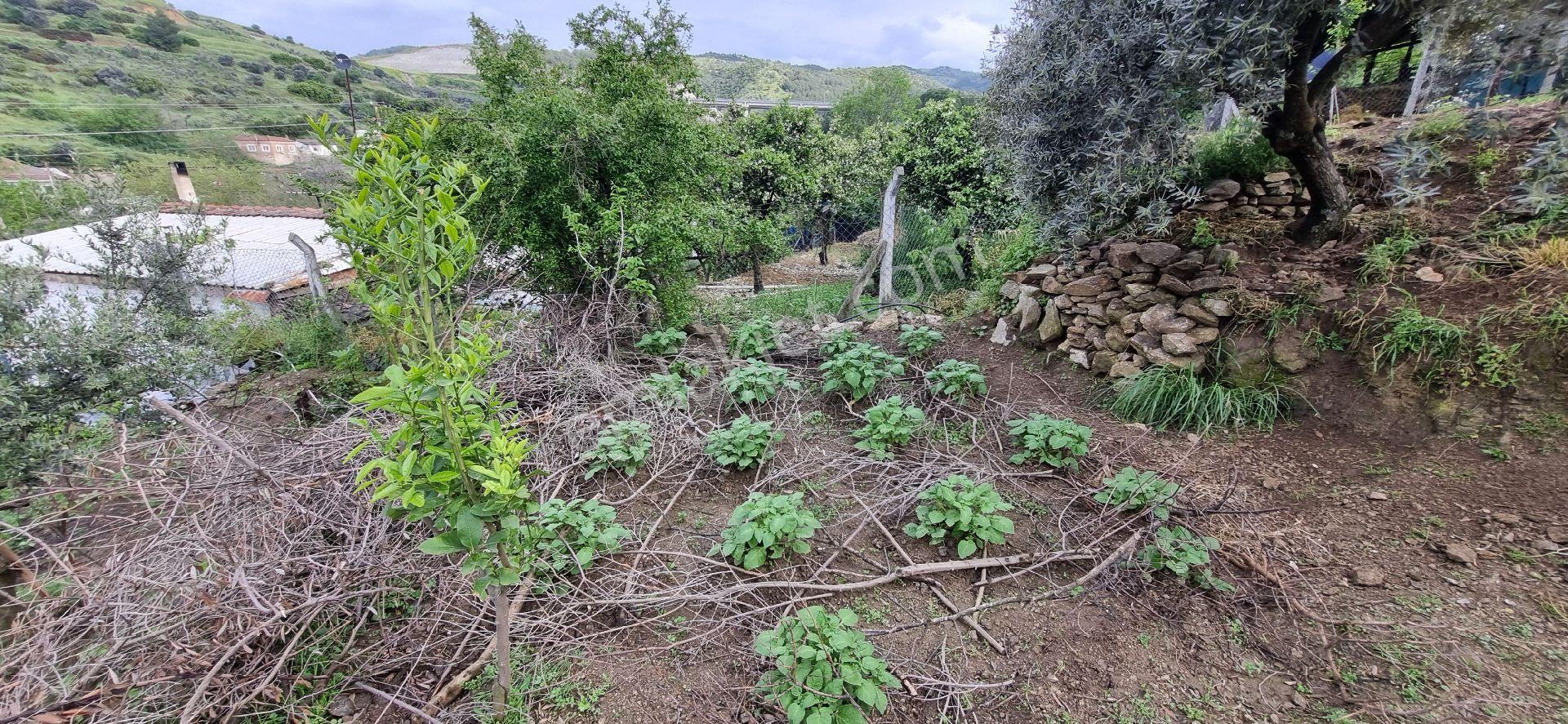 Aydın Nazilli Yöntem Emlaktan Yenipazar Alhan Mahallesinde Satılık Müstakil Ev - Görsel 25