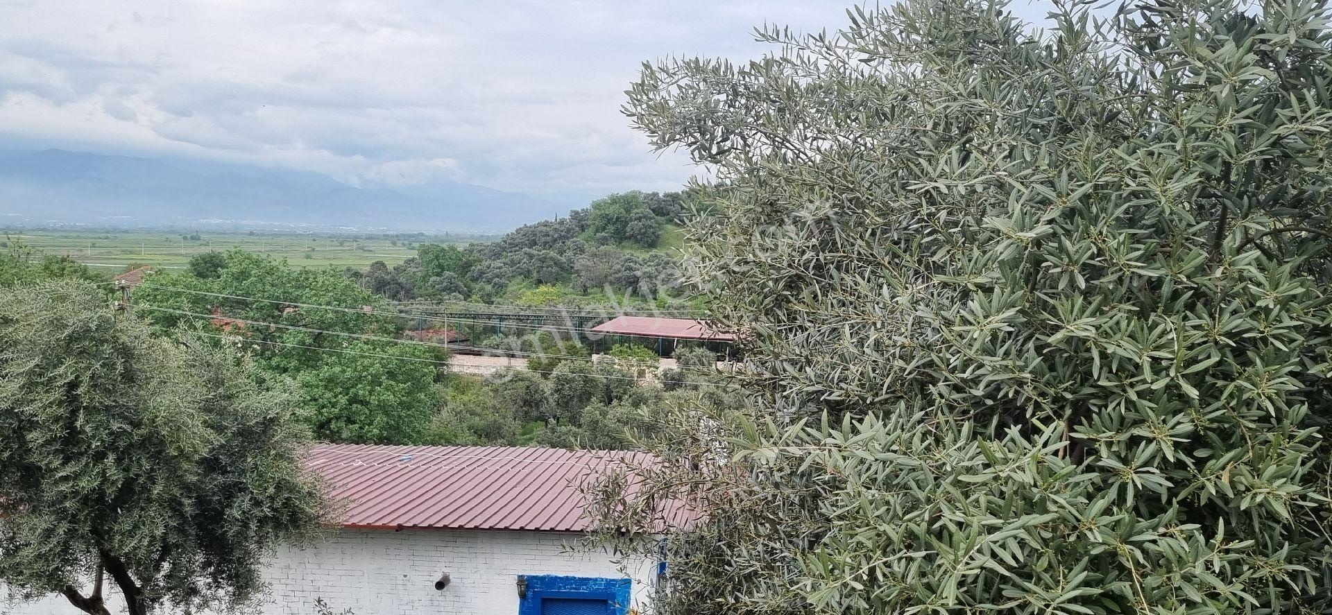 Aydın Nazilli Yöntem Emlaktan Yenipazar Alhan Mahallesinde Satılık Müstakil Ev - Görsel 33