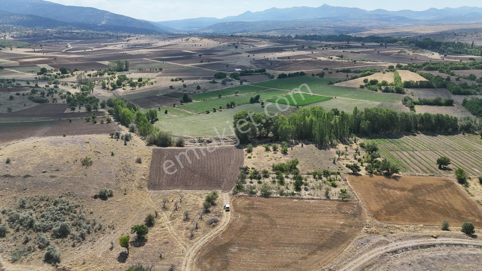 Konya / Akören / Tülce Mahallesinde 1.595 M² Müstakil Tapulu Bağ - Görsel 6