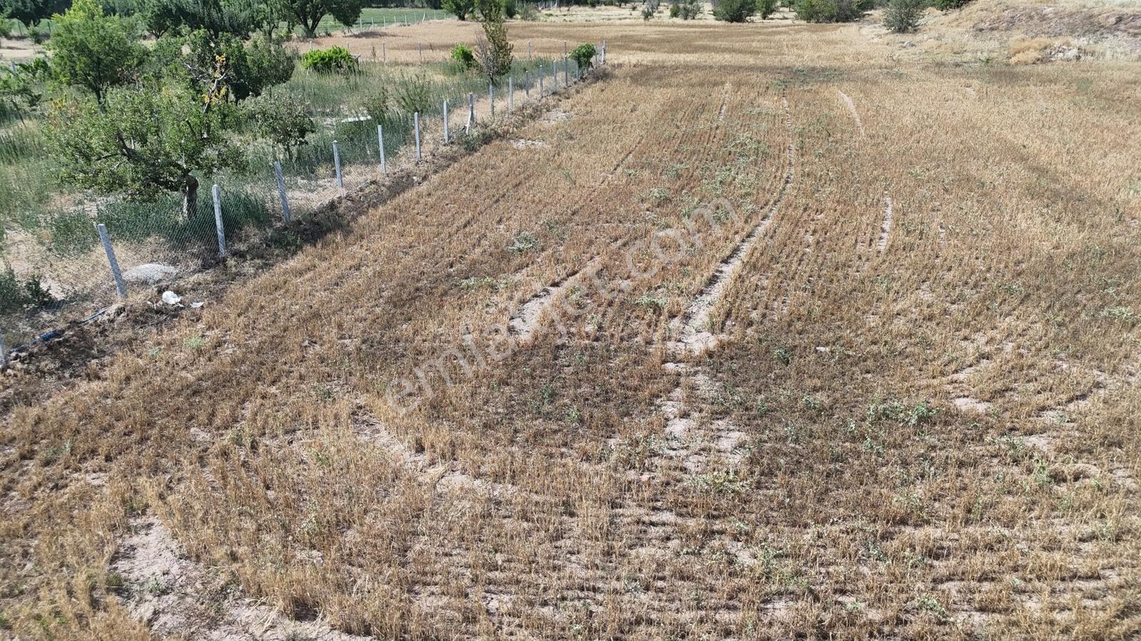 Konya / Akören / Tülce Mahallesinde 1.595 M² Müstakil Tapulu Bağ